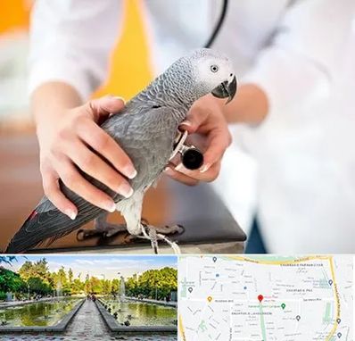 دامپزشکی پرندگان در سرسبز