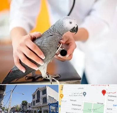 دامپزشکی پرندگان در افسریه