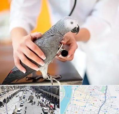 دامپزشکی پرندگان در نادری اهواز