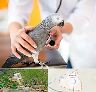 دامپزشکی پرندگان در کردان