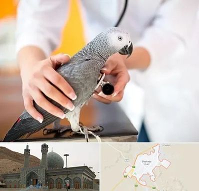 دامپزشکی پرندگان در شهرضا