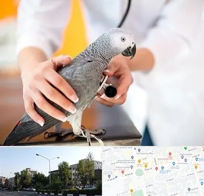 دامپزشکی پرندگان در میدان کاج