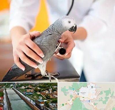دامپزشکی پرندگان در مراغه