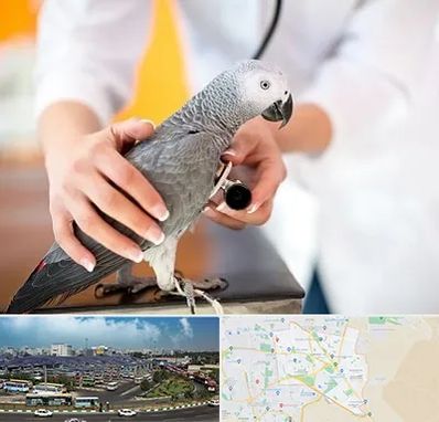 دامپزشکی پرندگان در منطقه 15 تهران