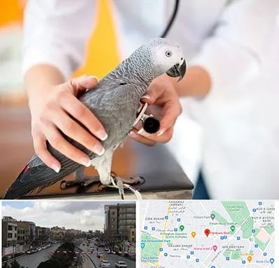 دامپزشکی پرندگان در بلوار فردوسی مشهد