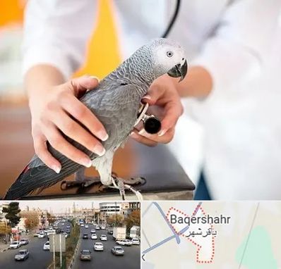 دامپزشکی پرندگان در باقرشهر