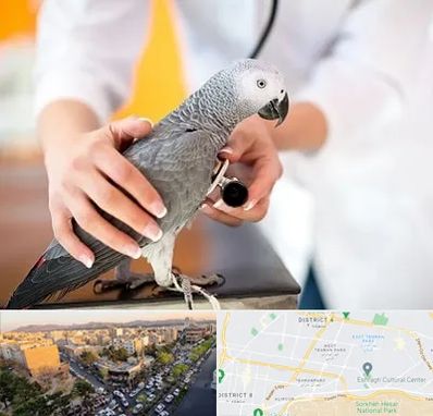 دامپزشکی پرندگان در تهرانپارس