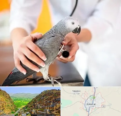 دامپزشکی پرندگان در کامیاران