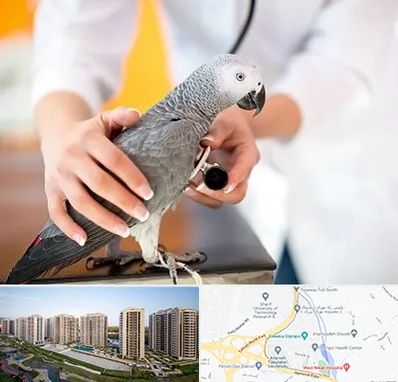 دامپزشکی پرندگان در المپیک