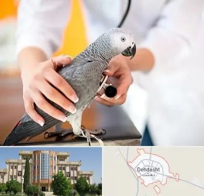 دامپزشکی پرندگان در دهدشت