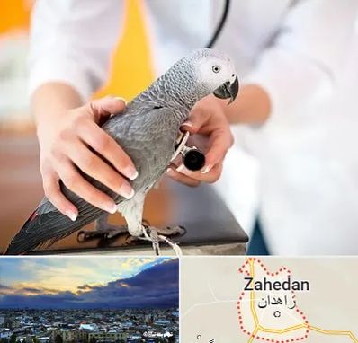 دامپزشکی پرندگان در زاهدان