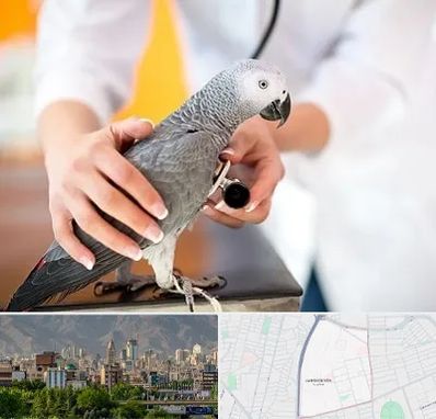 دامپزشکی پرندگان در جمشیدیه