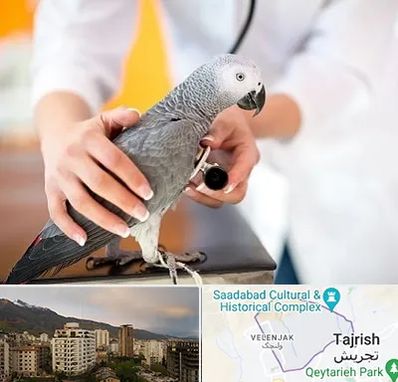 دامپزشکی پرندگان در زعفرانیه