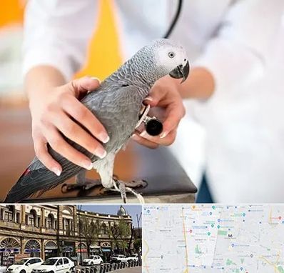 دامپزشکی پرندگان در منطقه 11 تهران