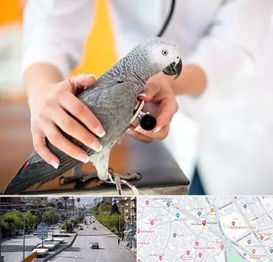 دامپزشکی پرندگان در خیابان زند شیراز