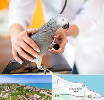 دامپزشکی پرندگان در نوشهر
