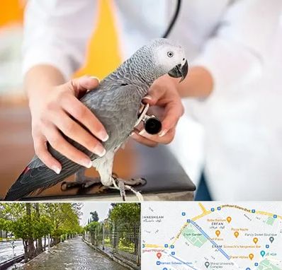 دامپزشکی پرندگان در خیابان ارم شیراز