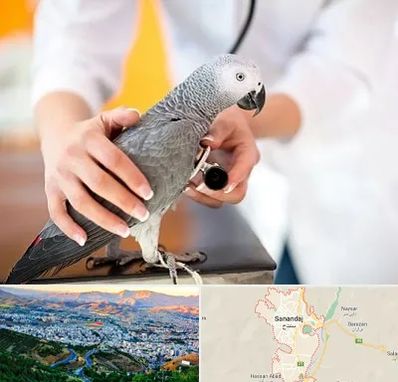 دامپزشکی پرندگان در سنندج