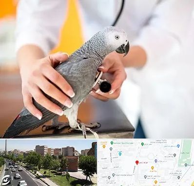 دامپزشکی پرندگان در شهرک آزمایش