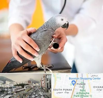 دامپزشکی پرندگان در پونک