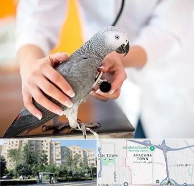 دامپزشکی پرندگان در آپادانا