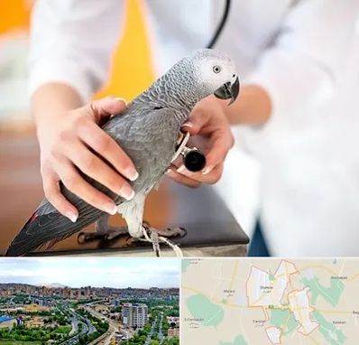 دامپزشکی پرندگان در شهریار