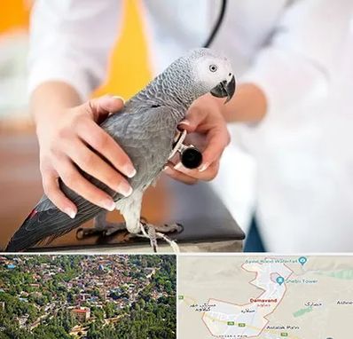 دامپزشکی پرندگان در دماوند