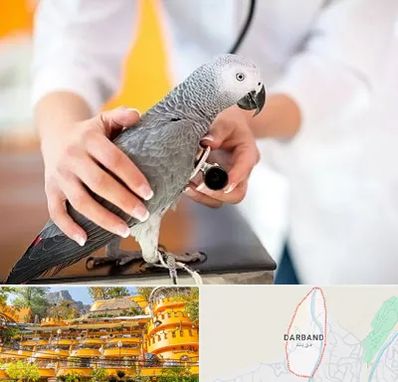 دامپزشکی پرندگان در دربند