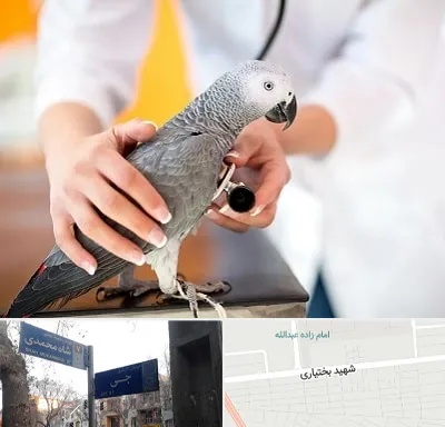 دامپزشکی پرندگان در سی متری جی