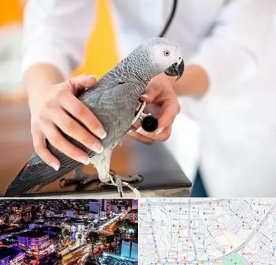 دامپزشکی پرندگان در منظریه رشت