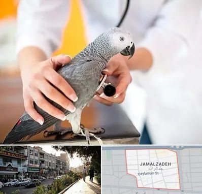 دامپزشکی پرندگان در خیابان جمالزاده