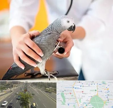 دامپزشکی پرندگان در منطقه 17 تهران