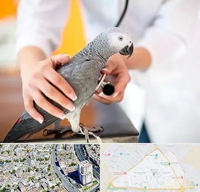 دامپزشکی پرندگان در قاسم آباد مشهد