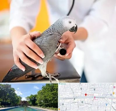 دامپزشکی پرندگان در هشت بهشت اصفهان