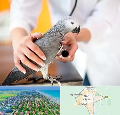 دامپزشکی پرندگان در ساری