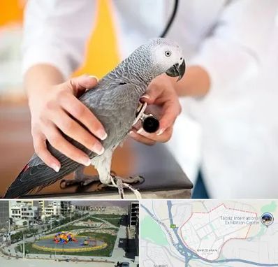 دامپزشکی پرندگان در مرزداران تبریز