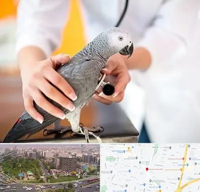 دامپزشکی پرندگان در آیت الله کاشانی