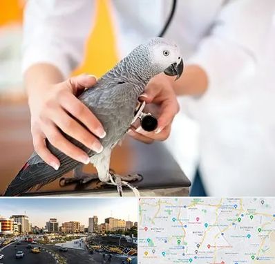 دامپزشکی پرندگان در منطقه 7 تهران