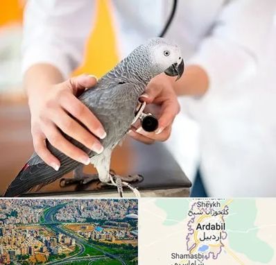 دامپزشکی پرندگان در اردبیل