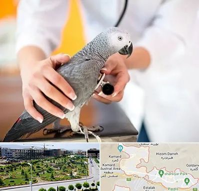 دامپزشکی پرندگان در پردیس