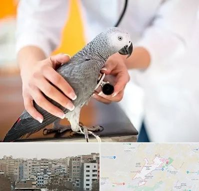 دامپزشکی پرندگان در محمد شهر کرج