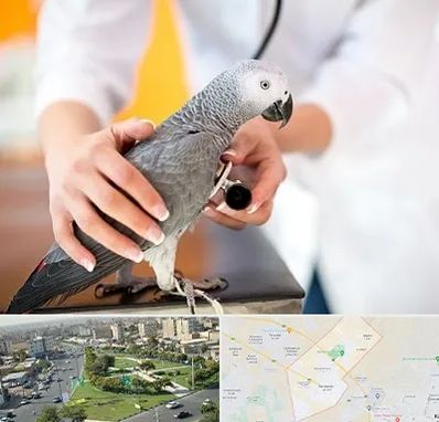 دامپزشکی پرندگان در کمال شهر کرج