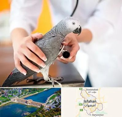 دامپزشکی پرندگان در اصفهان