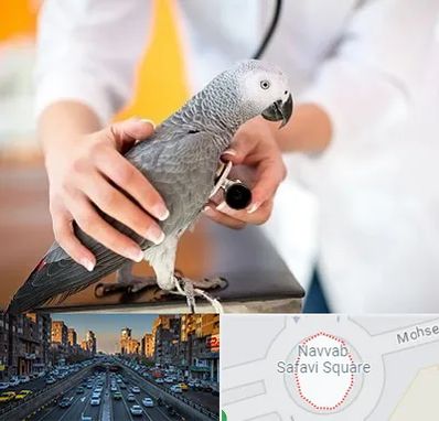 دامپزشکی پرندگان در نواب