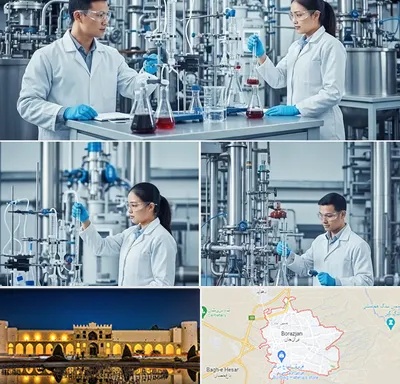 صنایع شیمیایی در برازجان