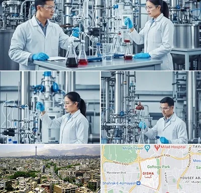 صنایع شیمیایی در گیشا