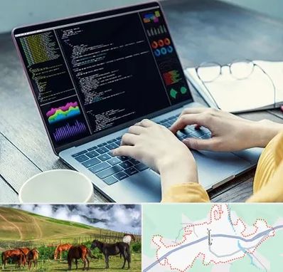 آموزشگاه برنامه نویسی در تالش