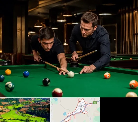 مربی بیلیارد در نکا