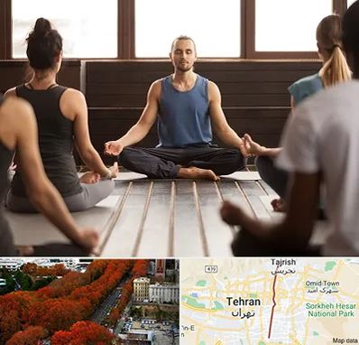 مربی یوگا در ولیعصر