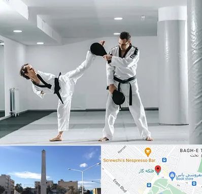 باشگاه رزمی در فلکه گاز شیراز